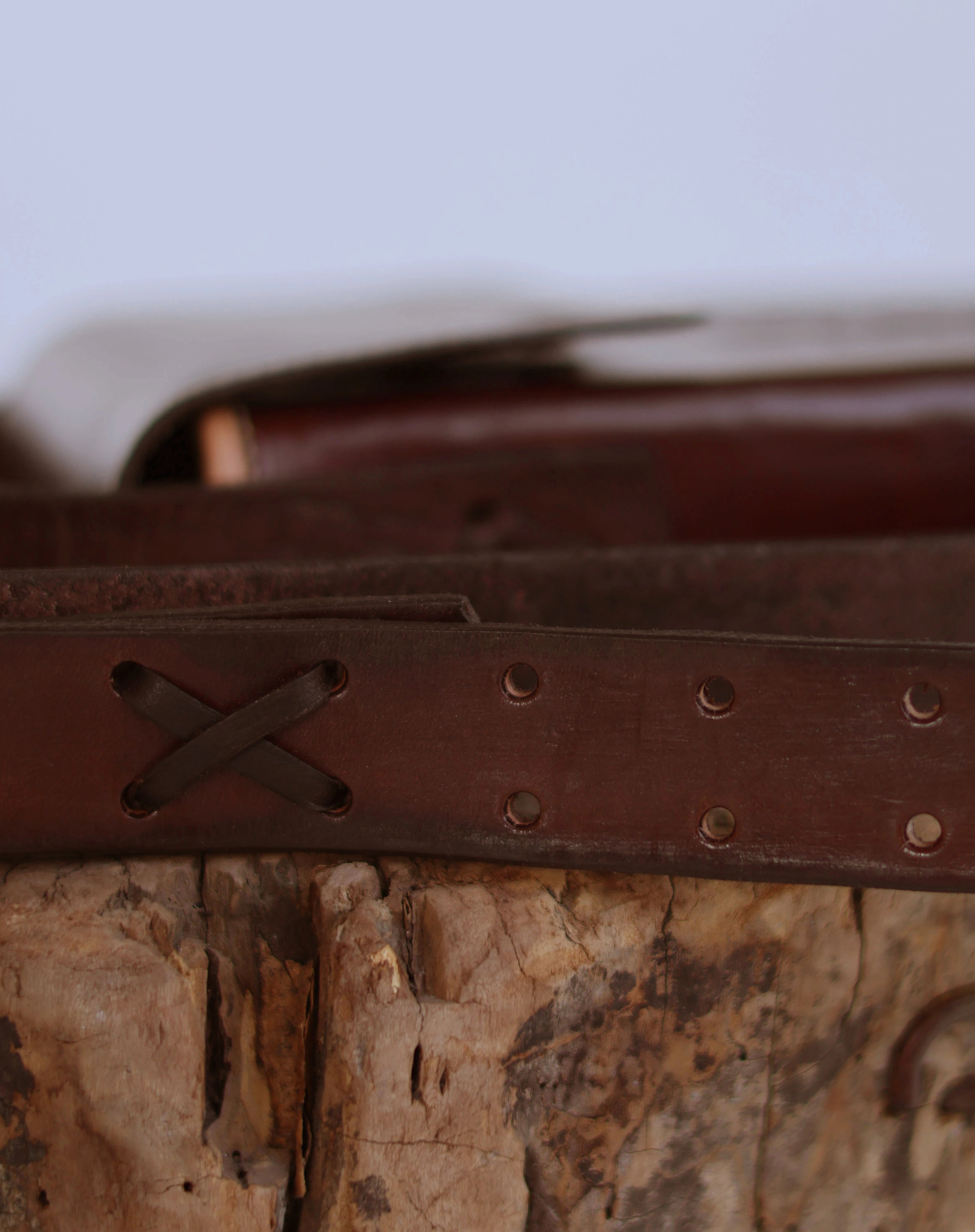 Coffee Sleek Bag belt detail view